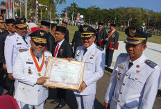 Gubernur Bengkulu Serahkan Satyalancana, Cek di Sini 3 Penghargaan Daerah Terbaik! 