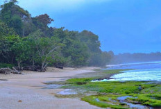 Viral di Tik Tok,  Pantai Bunga Karang Ramai Dikunjungi Wisatawan Luar Daerah 