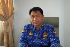 Dinkes Bengkulu Data Kasus ISPA Akibat HMPV Hingga Mei 2025 Segini, Cek di Sini Untuk Kabupaten 