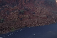 Sisa Material Longsor di Air Palawan Belum Dibersihkan, Warga Bangun Jembatan Alternatif  