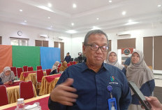 Didominasi Sarjana, Angka Pengangguran Bengkulu per Agustus 2025 Tembus 39  Ribu Orang 