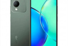 7 Deretan HP Vivo Baru, Spesifikasi Lengkap  Sesuai Kebutuhan, Burun Intip Kelebihannya!