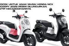 Cocok untuk Anak Muda! Honda NCX Scoopy 2025 Resmi Diluncurkan, Intip Kecanggihannya 