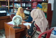 Tahun ini 80 PNS Kaur Pensiun, Penerimaan CPNS Masih Menunggu Petunjuk 