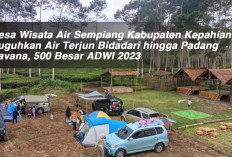 Desa Wisata Air Sempiang Kabupaten Kepahiang ; Suguhkan Air Terjun Bidadari hingga Padang Savana, 500 Besar AD