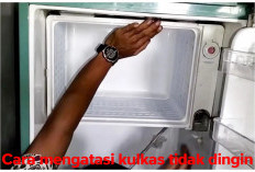 TANPA SERVIS! Begini Cara Mengatasi Kulkas yang Tidak Dingin Lagi