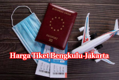 Hari Kemerdekaan, Yuk Intip Harga Tiket Pesawat Bengkulu-Jakarta, Naik Atau Turun ya