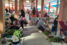 Pasokan Membaik, Harga Bawang Merah di Kaur Turun Rp 15 Ribu per Kilogram