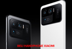 Harga Ramah di Kantong, Ini Dia 10 Pilihan Keren untuk Handphone Xiaomi RAM 12 GB! 