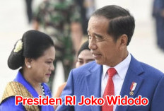 Pilkada 2024 Presiden RI Pemilih di   Solo, Ini Lokasi TPS Mencoblosnya 