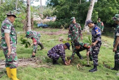 TNI Bakal Tanam Pohon Mangrove di Sepanjang Pantai Maje dan Nasal