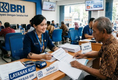 Modal Usaha Tanpa Ribet! Ini Tabel Cicilan KUR BRI 2026 dari Rp 50 Juta hingga Rp 80 Juta