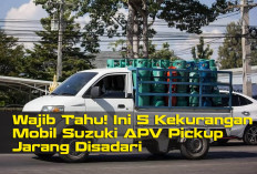 Wajib Tahu! Ini 5 Kekurangan Mobil Suzuki APV Pickup Jarang Disadari