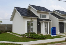 Yuk Lihat Desain Terbaru Rumah Subsidi Tipe 36 dengan Konsep Minimalis Modern, Tapi Hemat Anggaran