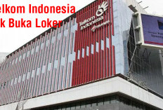 PT Telkom Indonesia Tbk Buka Loker, Penempatan di Bengkulu Kaur, Cek Persyaratannya!