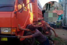 BREAKING NEWS! Motor Beat Hantam Truk Fuso Saat Belok, Pelajar di Bengkulu Selatan MD di TKP