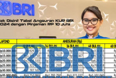 Cek Disini! Tabel Angsuran KUR BRI 2024 dengan Pinjaman RP 10 Juta