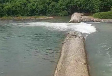 Irigasi Sungai Nasal Jebol,   Berikut Dampak Buruk Terbarunya