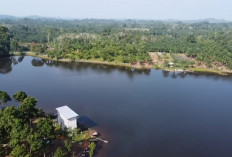 Hilangkan Penat! Ini Wisata Danau Tercantik di Bengkulu, Cocok Tempat Santai Bareng Keluarga