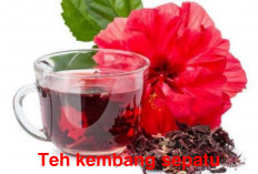Teh Kembang Sepatu Obat Trasional Penting, Bisa   Mengobati Penyakit Berat, Begini Cara Meraciknya!