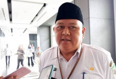 Untuk Kemajuan, Desa di Bengkulu Diimbau  DPMD Bentuk BKAD, Cermati Fungsinya