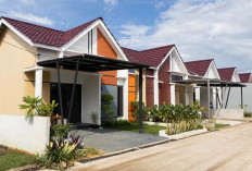 Banyak Diburu, Inilah Tipe Rumah Subsidi yang Menawarkan Kenyamanan dengan Harga Terjangkau