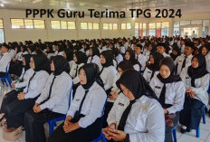 CEK SALDO! PPPK Guru di 11 Provinsi Ini Terima TPG 2024, Cek Provinsi Mana Saja, Bengkulu Ada?