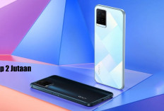 HP Rp 2 Jutaan Paling Komplet 2025, Baterai Badak dan super Canggih, Vivo Y21D Masih Pilihan Terbaik