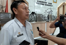 Pembayaran TPP PNS Kabupaten Kaur  Masih Proses, Simak Tahapan Terkininya