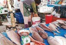 KUR 2026 Tanpa Batas Akses, Pelaku UMKM Bengkulu Makin Mudah Dapat Modal dengan Bank Bengkulu