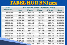 Program KUR BNI 2026 Jadi Pilihan UMKM, Ini yang Wajib Diperhatikan Sebelum Ajukan Pinjaman