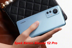 Mengulik Spek Keren Xiaomi 12 Pro, Tertarik Membelinya?