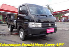 Anda Ingin Membeli Suzuki Mega Carry APV? Perlu Diketahui Kekurangan Sebelum Membelinya