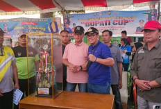 Tanjung Kemuning Borong Juara Bupati Cup 2024, Ini Buktinya 