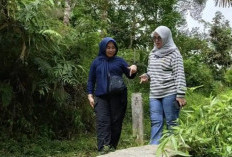 Tahura Terancam Sawit, DLHK Bengkulu Selatan Siapkan “Pasukan Khusus” Amankan Hutan