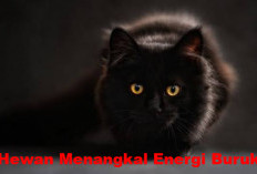 Mengusir Khodam Negatif: 5 Hewan yang Dapat Membantu Menangkal Energi Buruk