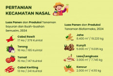 Pertanian Penopang Utama Ekonomi Masyarakat  Kecamatan Nasal, Cek Data Terbarunya di Sini!