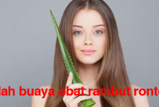 Tanpa Efek Samping, Tanaman ini Manjur Sembuhkan Rambut Rontok 