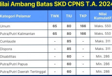 PENGUMUMAN! 2 Daerah Ini Sudah Mengeluarkan Nilai Ambang Batas SKD CPNS 2024, Ini Jumlahnya