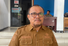 Kabar Gembira! TPP dan THR ASN Bengkulu Selatan Segera Cair, Pemkab Siapkan SK