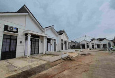 Umur di Bawah 21 Tahun Bisa Miliki Rumah Subsidi, Ini Cara dan Syarat Pentingnya!