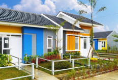 Pahami Jangan Sampai Salah: Ini 7 Jenis Aturan dalam Renovasi Rumah Subsidi