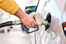 Muncul Penelitian Terbaru yang Bikin Mobil Bensin Ketar-ketir, Benarkah akan Tamat?