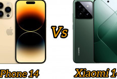 Bingung Antara Hp Iphone 14 atau Xiaomi 14? Cek Perbandingan Keduanya di Sini  