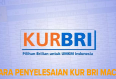 Angsuran KUR BRI Macet, Hati-hati Inilah Konsekuensinya! Yuk Intip Cara Penyelesaiannya 