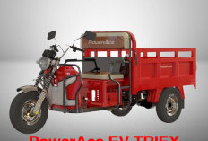 PowerAce EV TRIEX, Motor Listrik Fungsional, dapat Melaju di Segala Medan  