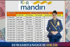 KUR Mandiri Solusi Mendapatkan Modal Usaha, Berikut Jenis dan Syarat Pengajuannya