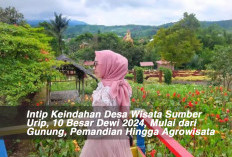 Intip Keindahan Desa Wisata Sumber Urip, 10 Besar Dewi 2024, Mulai dari Gunung, Pemandian Hingga Agrowisata