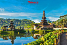 Turis Asing Selalu Berwisata ke Indonesia, Ternyata Ini Loh Alasan Menariknya!