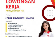 LOKER! PT Mayora Indah Tbk untuk 5 Posisi, Cek Kualifikasi Serta Cara Mendaftarnya